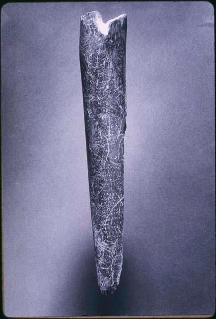 Photograph of engraved, broken baton from La Marche (Vienne) with rows of tiny marks grouped as blocks, Middle Magdalenian.