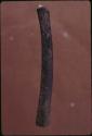 Photograph of engraved bone from Ishango, Congo,