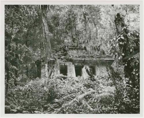 Bonampak, Structure 3