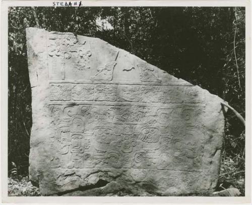 Bonampak, Stela 1, front base