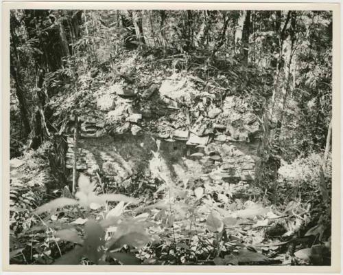 Bonampak, Structure 5, south side