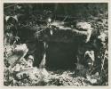 Bonampak, entrance to cave with lintel and jambs