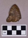 Chipped stone, projectile point, basal-notched and eared