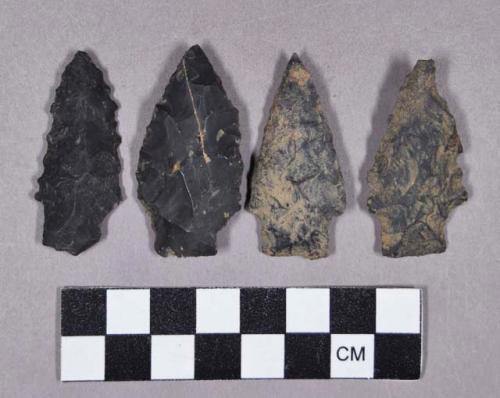 Chipped stone, projectile points, stemmed and serrated