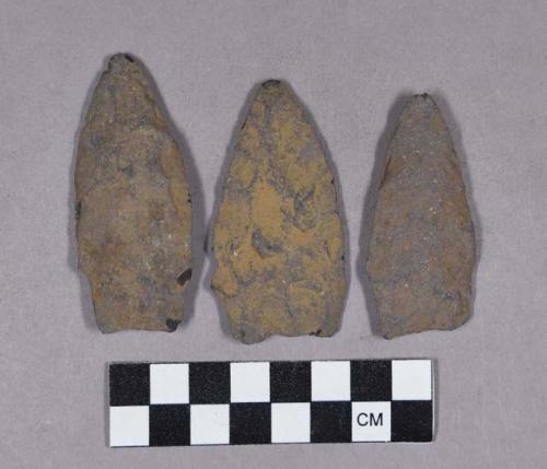 Chipped stone, projectile points, stemmed, triangular, and lanceolate