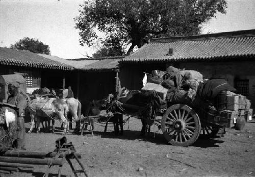 "Our heaviest cart on the road north"