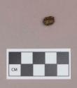 Shell bead fragment, stained by iron, with iron fragment inside bead