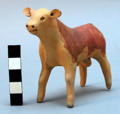 Pottey calf - used in fiesta of sta. barbara