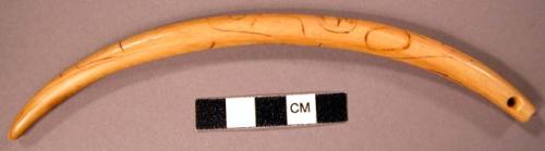 Ivory tusk, small