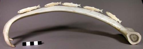 Ivory carving - five trout on a caribou antler