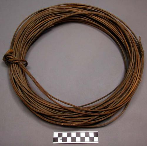 Long coil of leather thong, with bone or ivory toggle