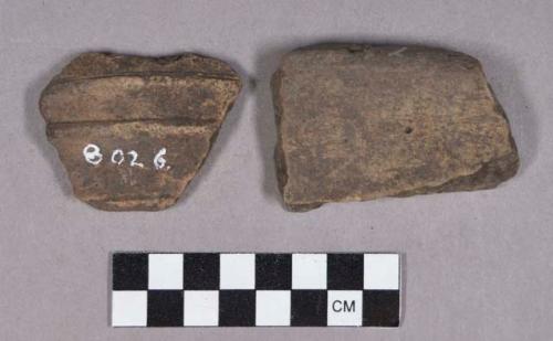 Ceramic, earthenware body, rim, and base sherds, incised, cordoned, and modeled