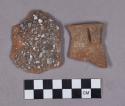 Ceramic, earthenware rim and body sherds, shell-tempered, undecorated, punctate, and incised, five with strap handles