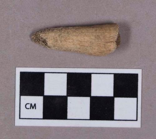 Organic, utilized antler, hollowed tine fragment