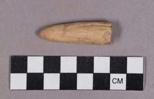 Organic, utilized antler, hollowed tine fragment