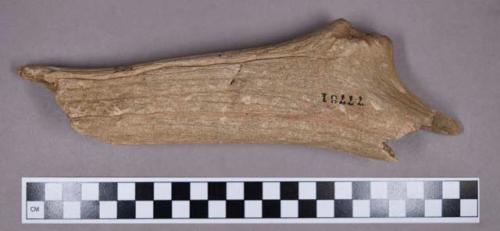 Organic, utilized antler fragment