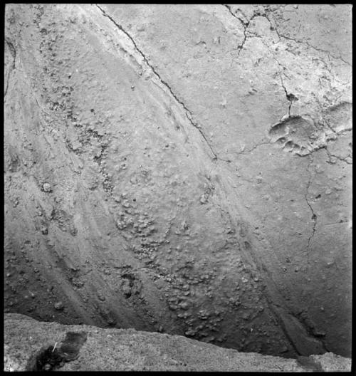 Footprints in volcanic ash