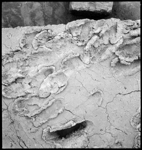 Footprints in volcanic ash