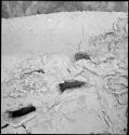 Footprints in volcanic ash