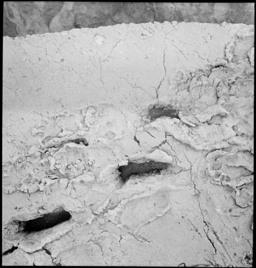 Footprints in volcanic ash