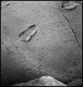 Footprints in volcanic ash