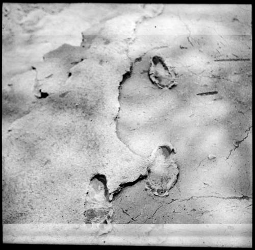 Footprints in volcanic ash