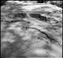 Footprints in volcanic ash