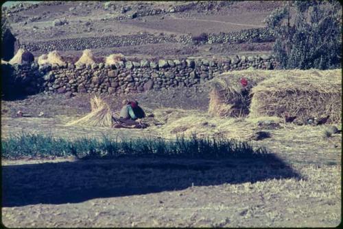 Man threshing wheat, with stone walls and fields in background