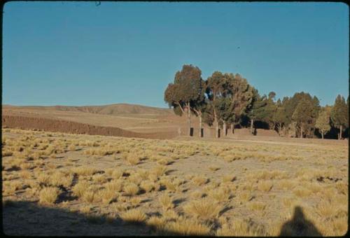 Adobe wall and field in Pillapi