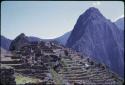 View of Machu Picchu