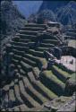 Terraces at Machu Picchu