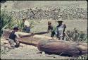 Cutting a beam from a Eucalyptus log at Seripaca
