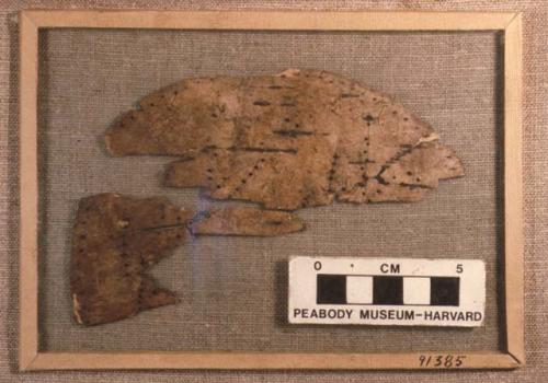 Fragment of birch bark box