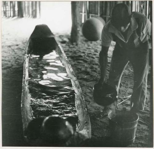 Preparations for the chicha fiesta, canoe used as cooling container