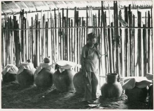 Preparations for the chicha fiesta, clay jars full of chicha to ferment