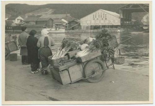 Vegetable cart, next to Kitakami River