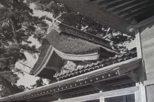 Temple roof, detail