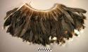 Necklace of black powis feathers