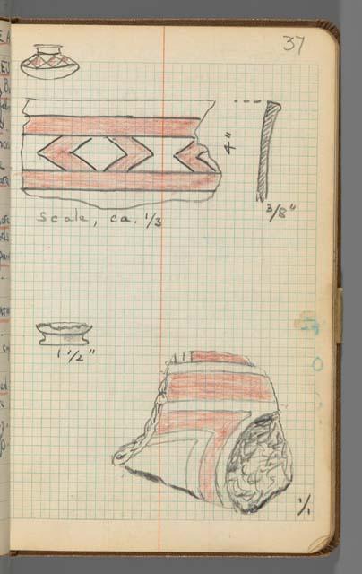 Field notebook, S.K. Lothrop notes from  Costa Rica, page 37
