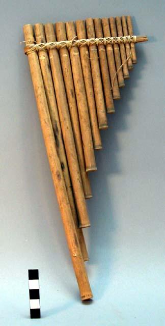 Pan pipes, mambi