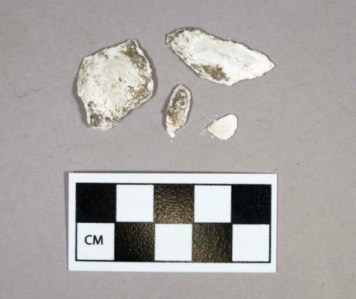 Shell, faunal remain, oyster, fragments