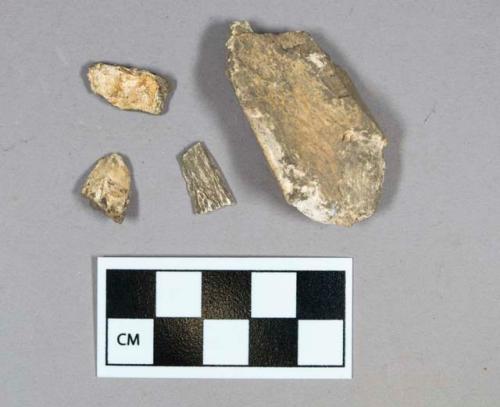 Bone, faunal remain, mammal and UNID, fragments (one calcined); Tooth, faunal remain, mammal, possible pig, fragments