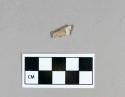 Bone, faunal remain, mammal, calcined, fragment