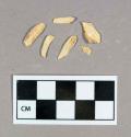 Tooth, faunal remain, selenodont teeth, fragments