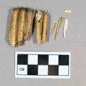 Teeth, faunal remain, sheep/goat or cervid, nearly complete (1), partial (1), fragments(4)
