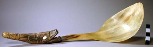 Horn spoon, carved handle with abalone