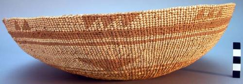 Acorn tray or Lid to Storage Basket