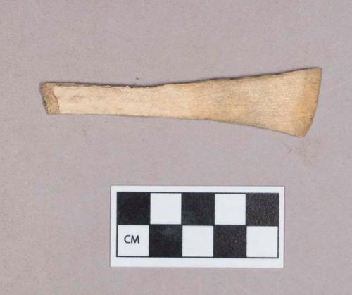 Worked antler fragment, one end sharpened and possibly serrated