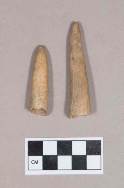 Worked antler tip objects, hollowed