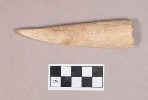 Worked antler fragment, pointed at one end, possible perforator